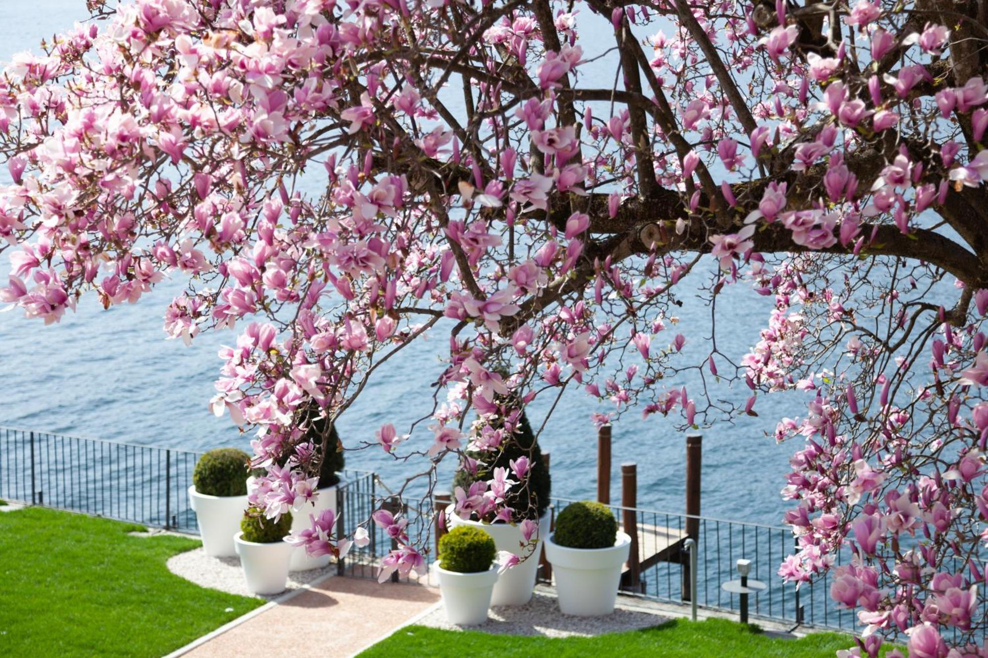 דירות אורטה סאן ג'יוליו Bifora65 Flats And Garden - Lakeview מראה חיצוני תמונה